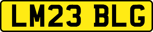 LM23BLG