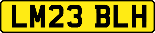 LM23BLH