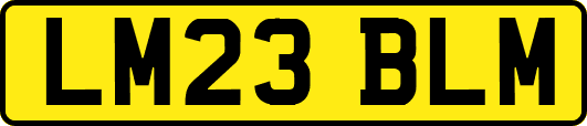 LM23BLM