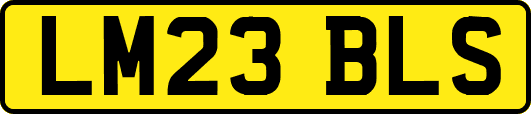 LM23BLS