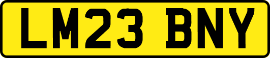 LM23BNY