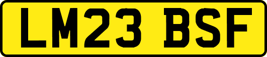 LM23BSF