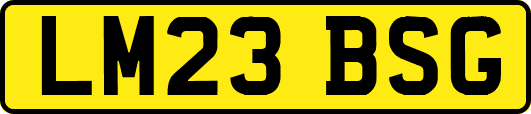 LM23BSG