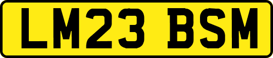 LM23BSM