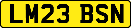 LM23BSN