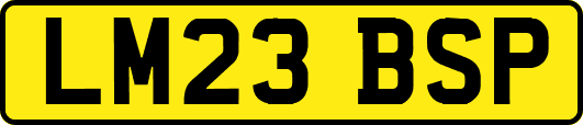 LM23BSP