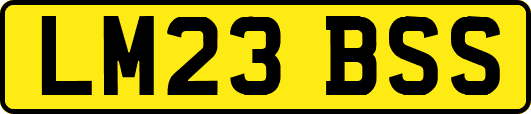 LM23BSS