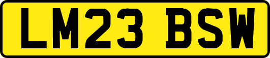LM23BSW