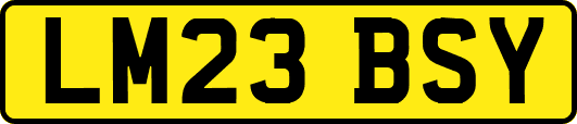 LM23BSY