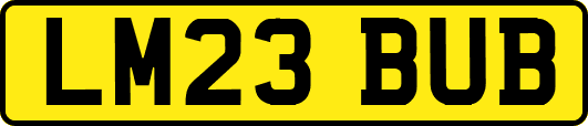 LM23BUB