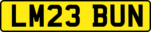 LM23BUN