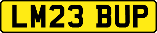 LM23BUP
