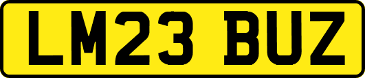 LM23BUZ