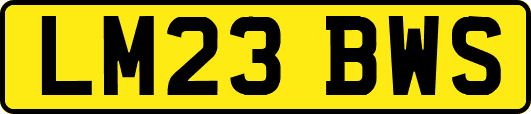 LM23BWS