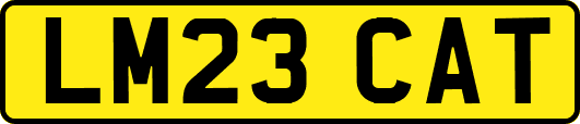 LM23CAT