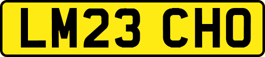 LM23CHO