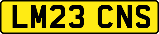 LM23CNS