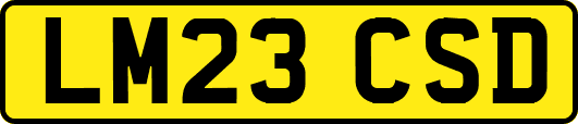 LM23CSD