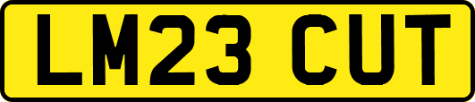 LM23CUT