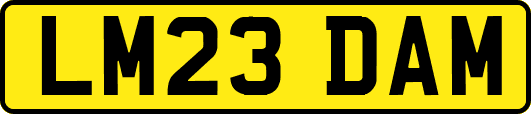 LM23DAM
