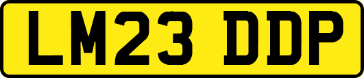 LM23DDP