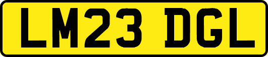 LM23DGL