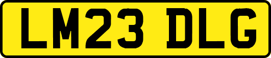 LM23DLG