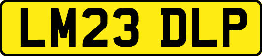 LM23DLP