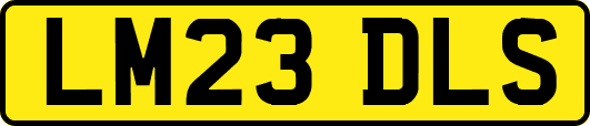 LM23DLS