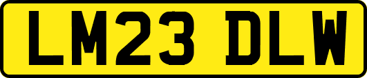 LM23DLW