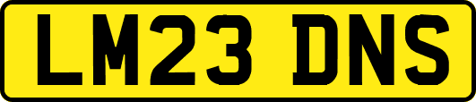 LM23DNS