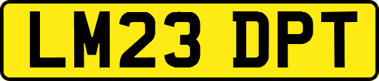 LM23DPT