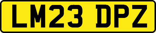 LM23DPZ