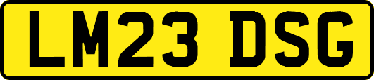 LM23DSG