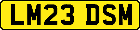 LM23DSM