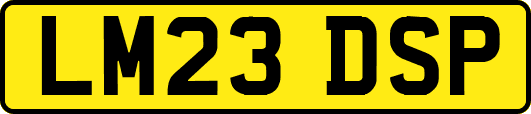 LM23DSP