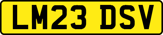 LM23DSV