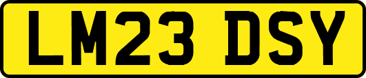 LM23DSY