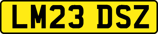 LM23DSZ