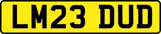 LM23DUD