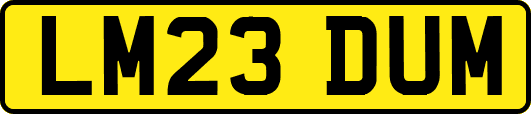 LM23DUM