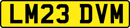 LM23DVM