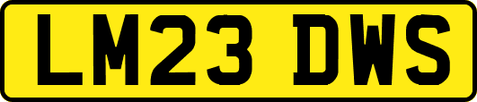 LM23DWS