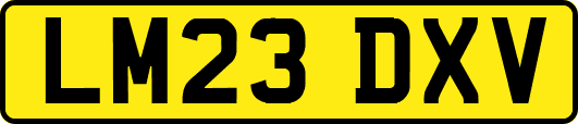 LM23DXV