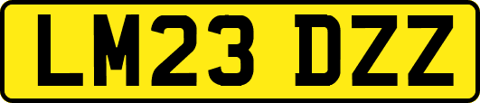 LM23DZZ