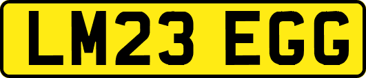 LM23EGG