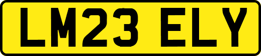 LM23ELY