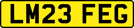 LM23FEG