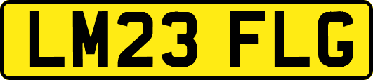 LM23FLG