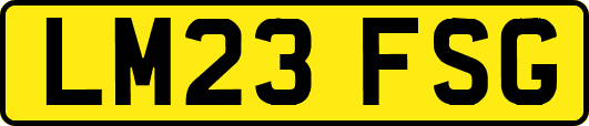 LM23FSG